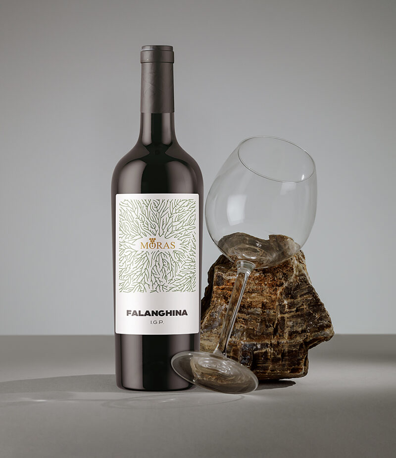 Falanghina I.G.P. - immagine 2